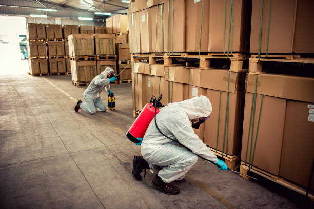 Best Pest Control Near Me  in Blackstone, VA