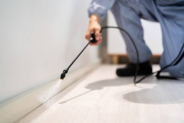 Best Termite Control Services  in Blackstone, VA