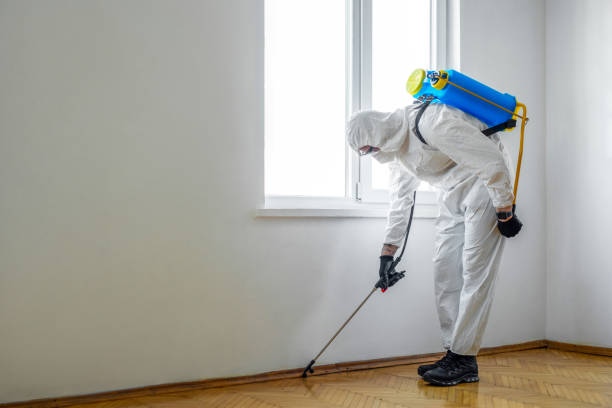 Best Termite Control Services  in Blackstone, VA