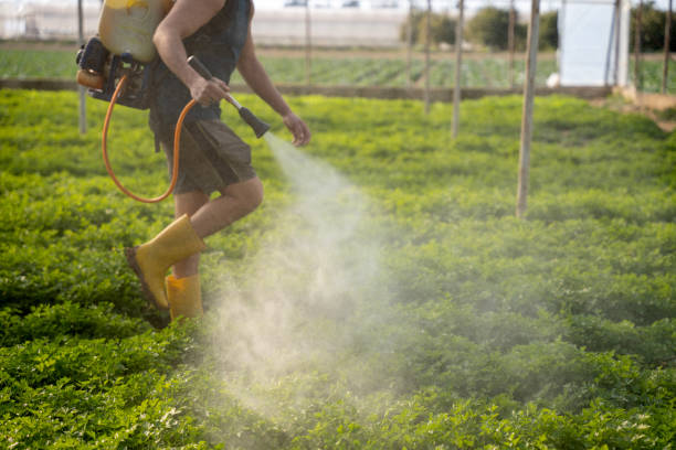 Best Best Pest Control Companies  in Blackstone, VA