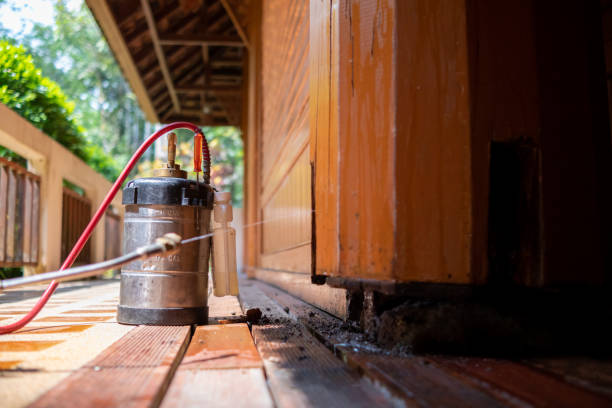 Best Cockroach Control Services  in Blackstone, VA
