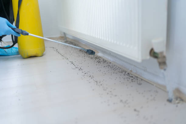 Blackstone, VA Pest Control Company