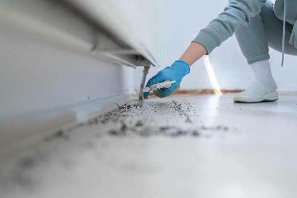 Best Emergency Pest Control  in Blackstone, VA